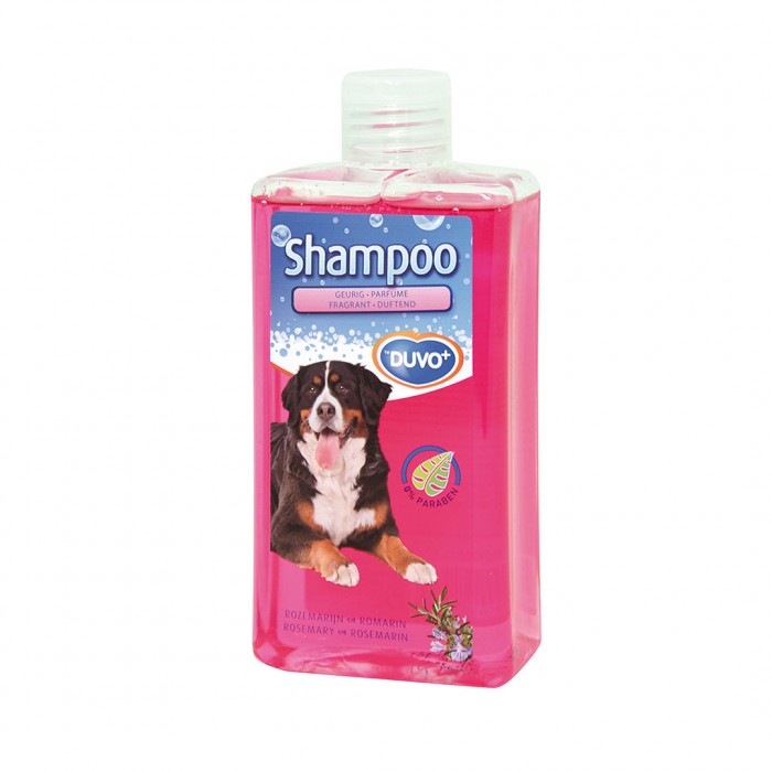 Duvo shampooing romarin...