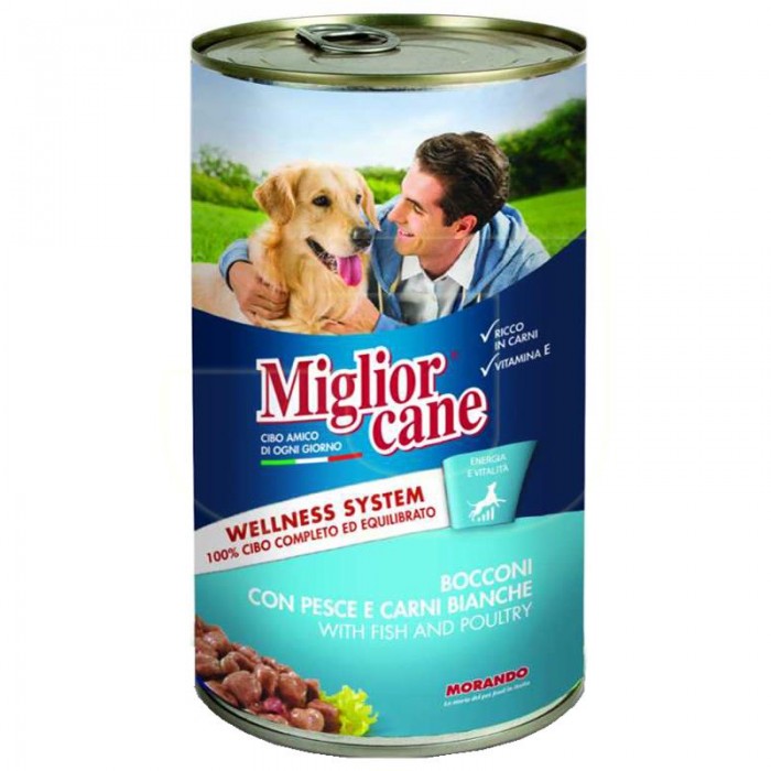 Miglior Cane Chien Poisson...