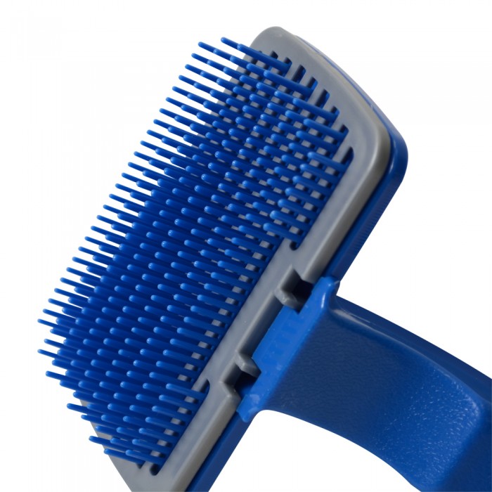 Brosse chien nettoyante