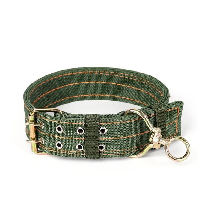 Collier chien police