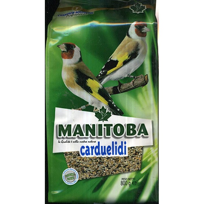 Manitoba Carduelidi grain...