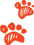 quality pet