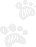 quality pet